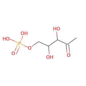 1-deoxy-D-xylulose 5-phosphate